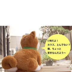 大人向け 音声認識 ぬいぐるみ 【 しばいぬコウタ バンダナ付き】 高齢者でも操作は簡単。プレゼントに最適 電話サポートの画像
