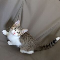 元気いっぱい男の子！