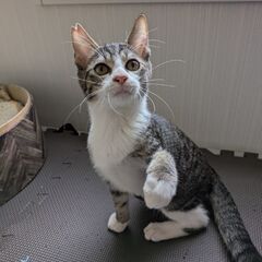 元気いっぱい男の子！