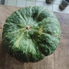 決まりました。かぼちゃあげますの画像