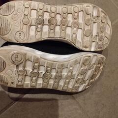 SUPERSTAR　LUVRUSH　スニーカー 23.5の画像