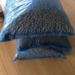 カナダ産大豆15kg の画像