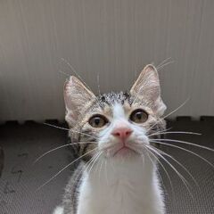 元気いっぱい男の子！