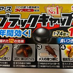 アース　ブラックキャップ 12個入り ゴキブリ駆除の画像