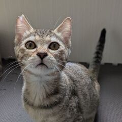 抱っこ好きな女の子