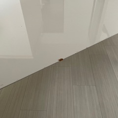 折りたたみローテーブルの画像