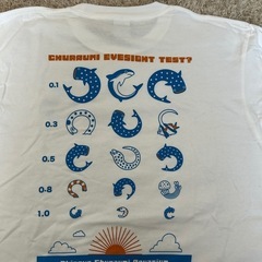 【購入者決定】美ら海水族館公式Tシャツ「魚の視力検査」 大人男女兼用Lサイズの画像