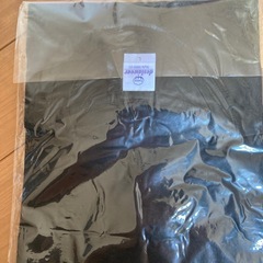 新品　Tシャツ　Lの画像