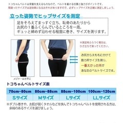 トコちゃんベルト Lサイズの画像
