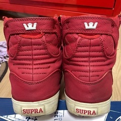 【 SUPRA 】　スニーカーの画像