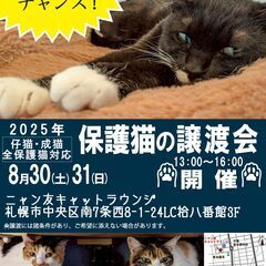 【札幌】ニャン友キャットラウンジ譲渡会〈8/30-31〉