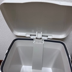 お譲り先決まりましたの画像