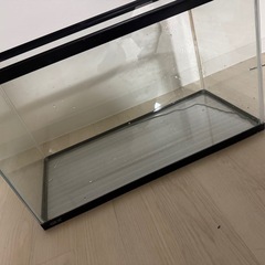 水槽の画像