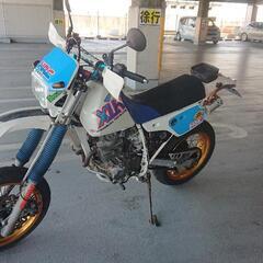 XLR250。自賠責R8年8月。の画像