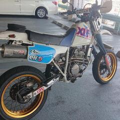 XLR250。自賠責R8年8月。の画像