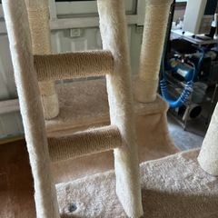 キャットタワーの画像