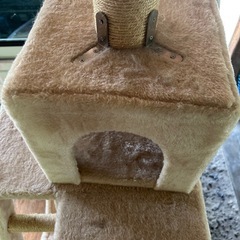 キャットタワーの画像