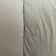 【8/28まで】Francfranc 座椅子 2人がけの画像