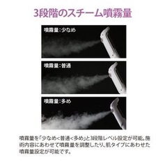 FS100 オゾンフェイシャルスチーマー　郵送可能の画像