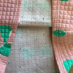 ワンピース🎀の画像