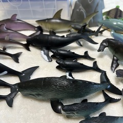  オーシャンコンテナ　海の生き物　玩具の画像
