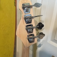 ESP GCA ベースの画像