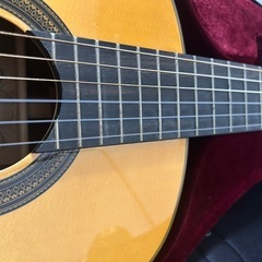 ARIA A-50Sの画像