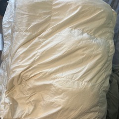ニトリ　シングルサイズ　軽量羽毛布団の画像