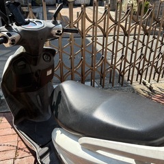 シグナスX  の画像