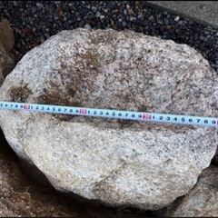 庭石 残り5個 0円 お好きな分をどうぞの画像