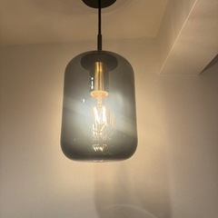 ペンダントライト　大光電機　新品の画像