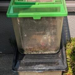 虫かご、飼育ケースまとめての画像