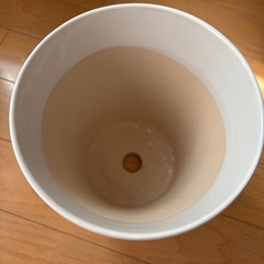 陶器の鉢植えの画像
