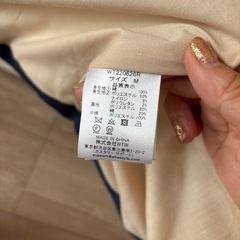 WTWダウンベスト  の画像