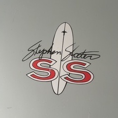SURFTECH ロングボードtakayamaの画像