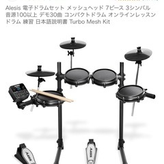 Alesis 電子ドラムセット➕PLAYTECH ベースアンプ コンポタイの画像