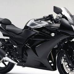 Ninja250Rの画像