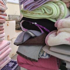 無料　毛布、クッションの画像