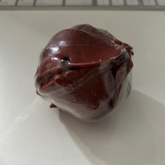 BANDAI いきもの大図鑑ガチャガチャ　フチゾリネッタイコシビロダンゴムシの画像
