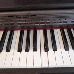 CASIOセルビアーノAP-45の画像