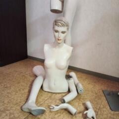 (3)レディースマネキントルソー、鉄土台、現金手渡し希望ですの画像