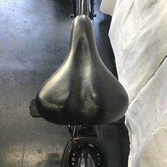 No.9 ベロスターの画像