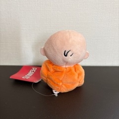 チャーリーブラウン ハロウィンの画像