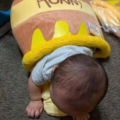 ハニーポット　キャットハウスの画像