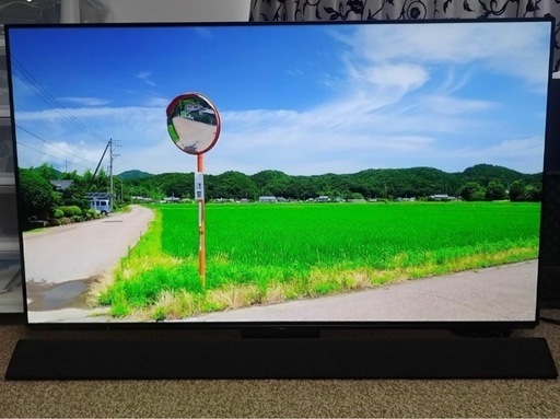 Panasonic 有機ELテレビ 55V型 TH-55FZ1000 2018年