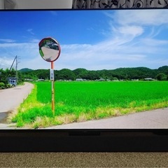 Panasonic 有機ELテレビ 55V型 TH-55FZ1000 2018年の画像