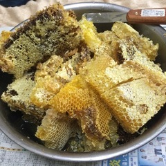 2)日本ミツバチ純粋垂蜜　　440gの画像