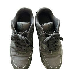 NIKE Air Max メンズスニーカーの画像