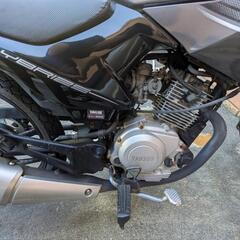 【商談中】YBR125の画像