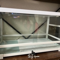 爬虫類ケージ　三晃商会　パンテオン　ホワイト　ＷＨ６０３５の画像